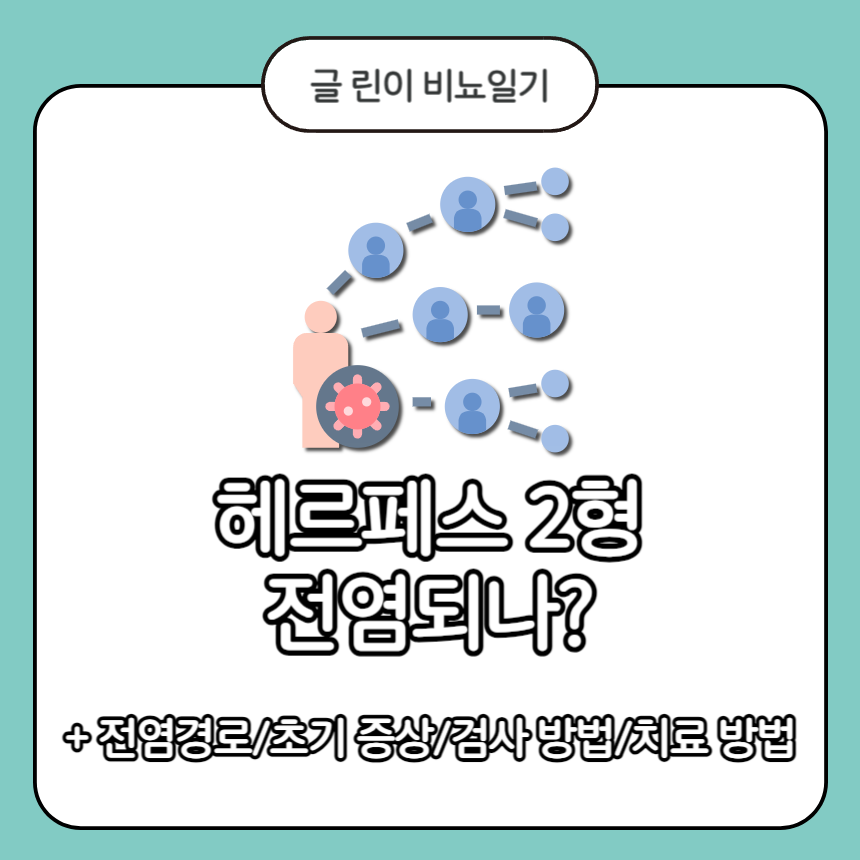  헤르페스 2형 전염되나?