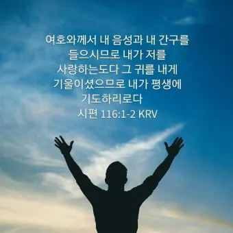 시편 1장 3절 묵상 - 그는 시냇가에 심은 나무가 철을 따라 열매를 맺으며_19