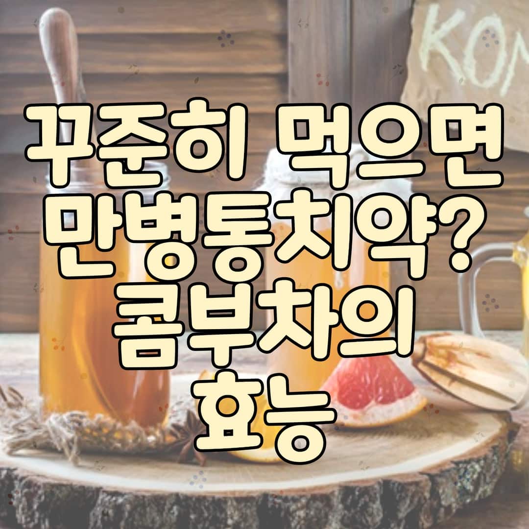  콤부차의 효능 (다이어트, 항산화, 항염, 피부개선 등등)