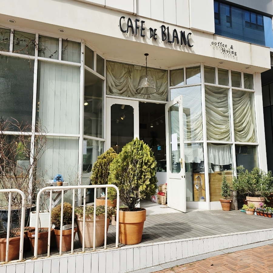 카페드블랑 이미지