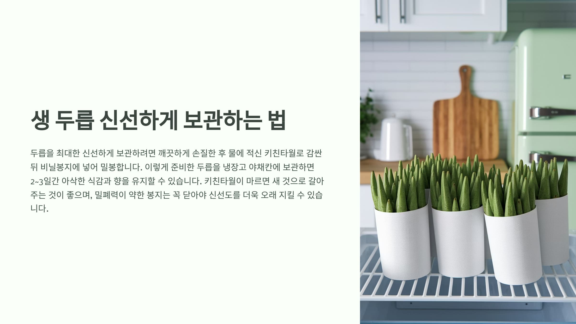 두릅 신선하게 보관하는 방법 설명하는 인포그래픽