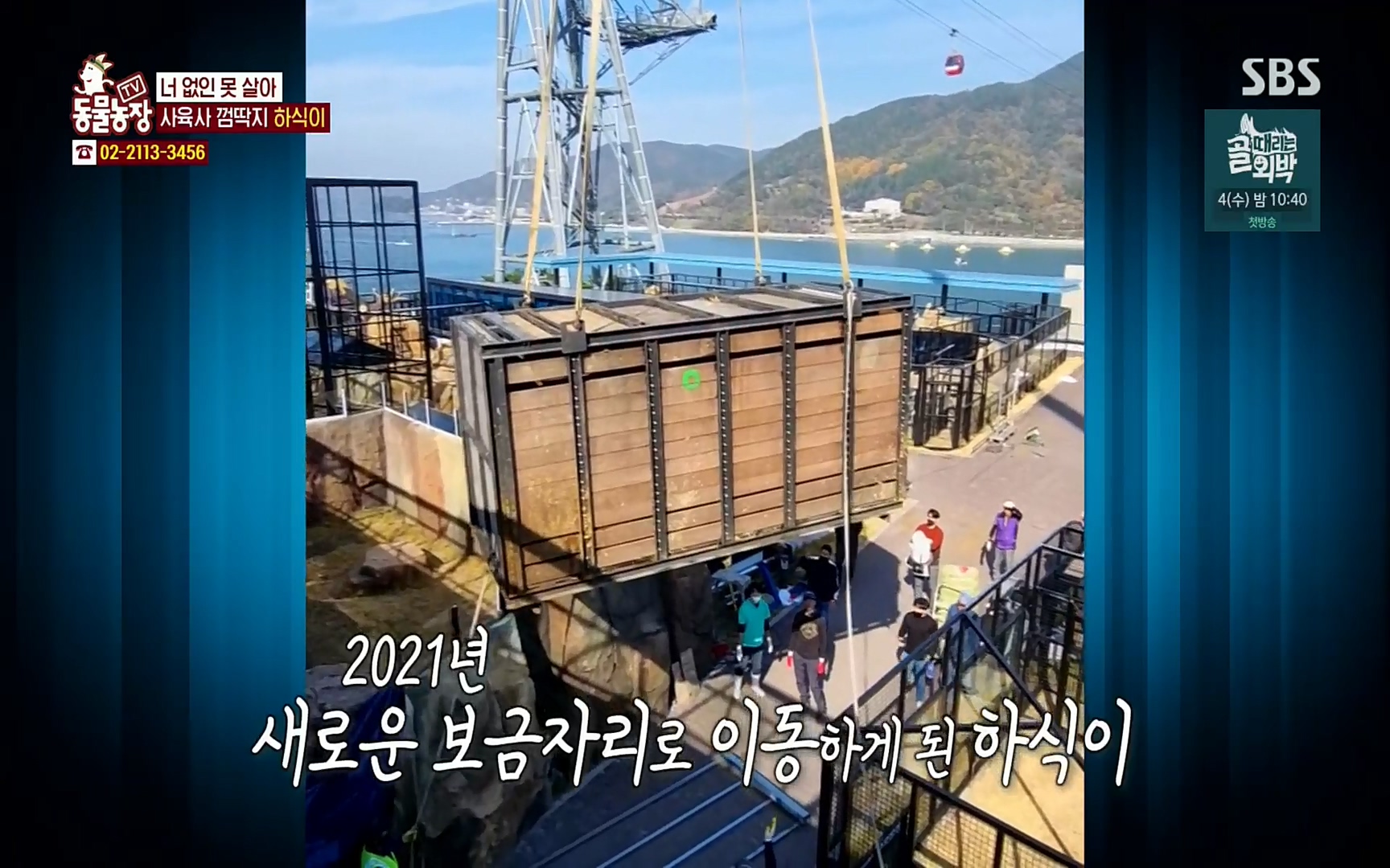 TV 동물농장.E1067.220501p.H264-F1RST.mp4_20220501_181712.711.jpg