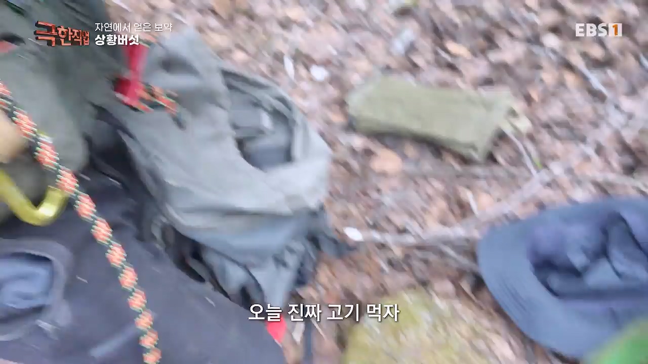 TV - 전 국민의 평생학교 EBS자연에서 얻은 보약, 상황버섯과 산나물, 쌍화차.mp4_20240615_172244.152.jpg