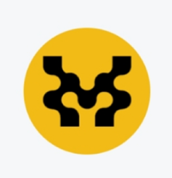 무브먼트 코인
