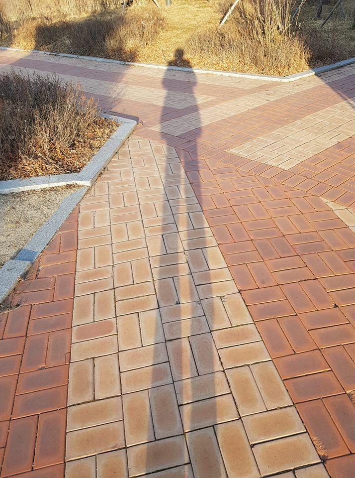 상상진화 이미지