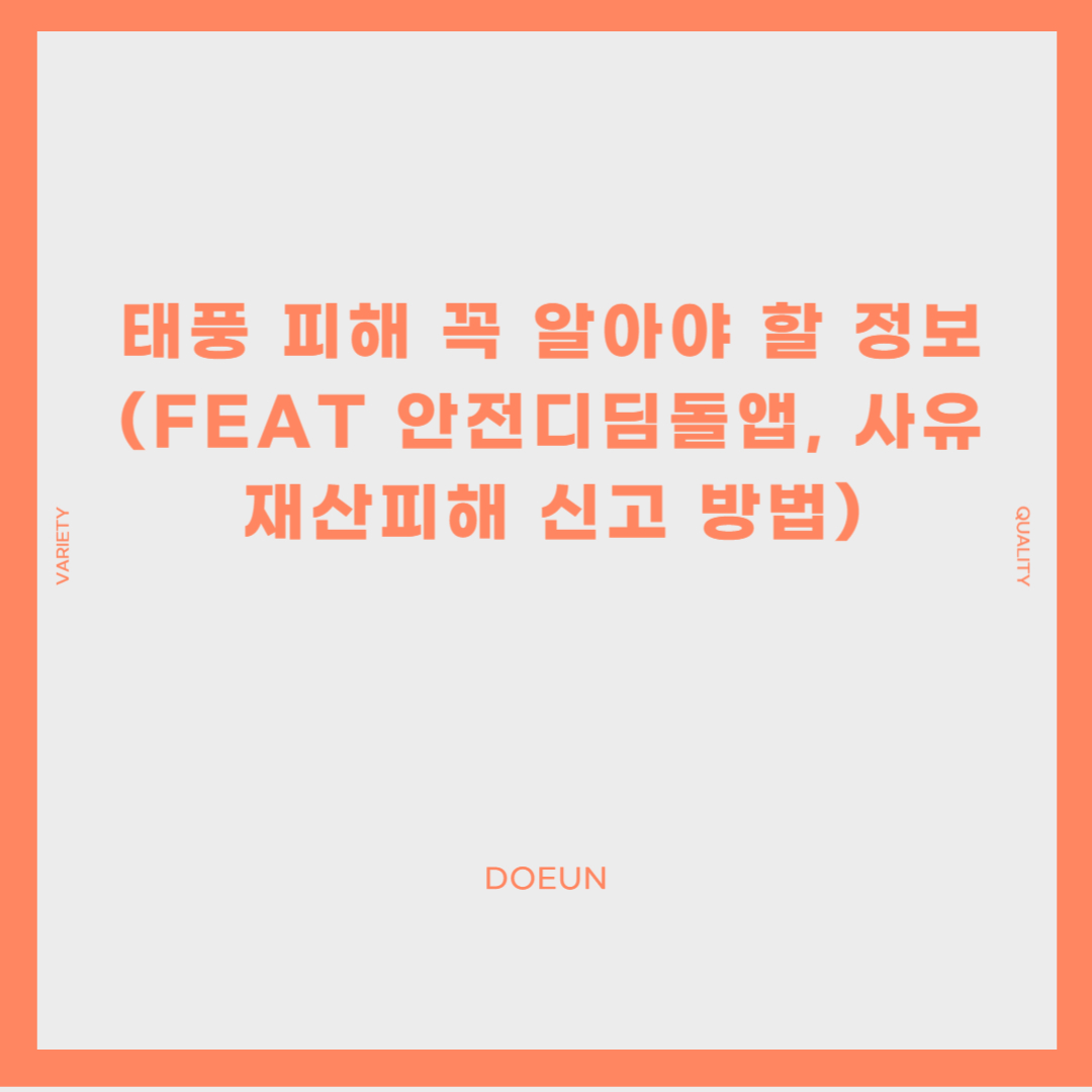 태풍-피해