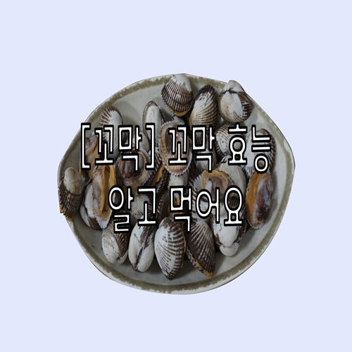  [꼬막] 꼬막 효능 알고 먹어요