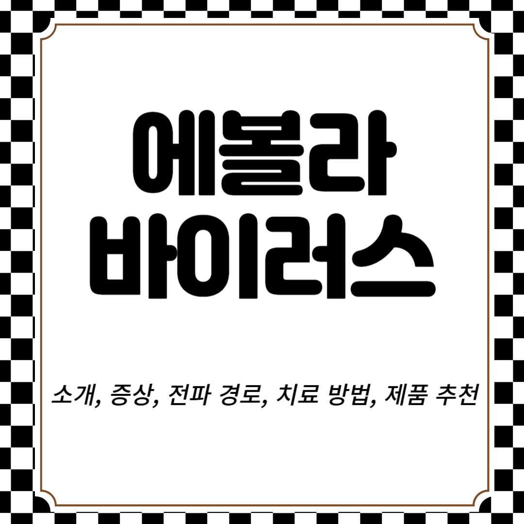 에볼라 바이러스 소개, 증상, 전파 경로, 치료 방법, 제품 추천