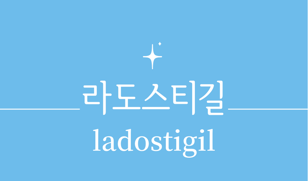 &#39;라도스티길(ladostigil)&#39;