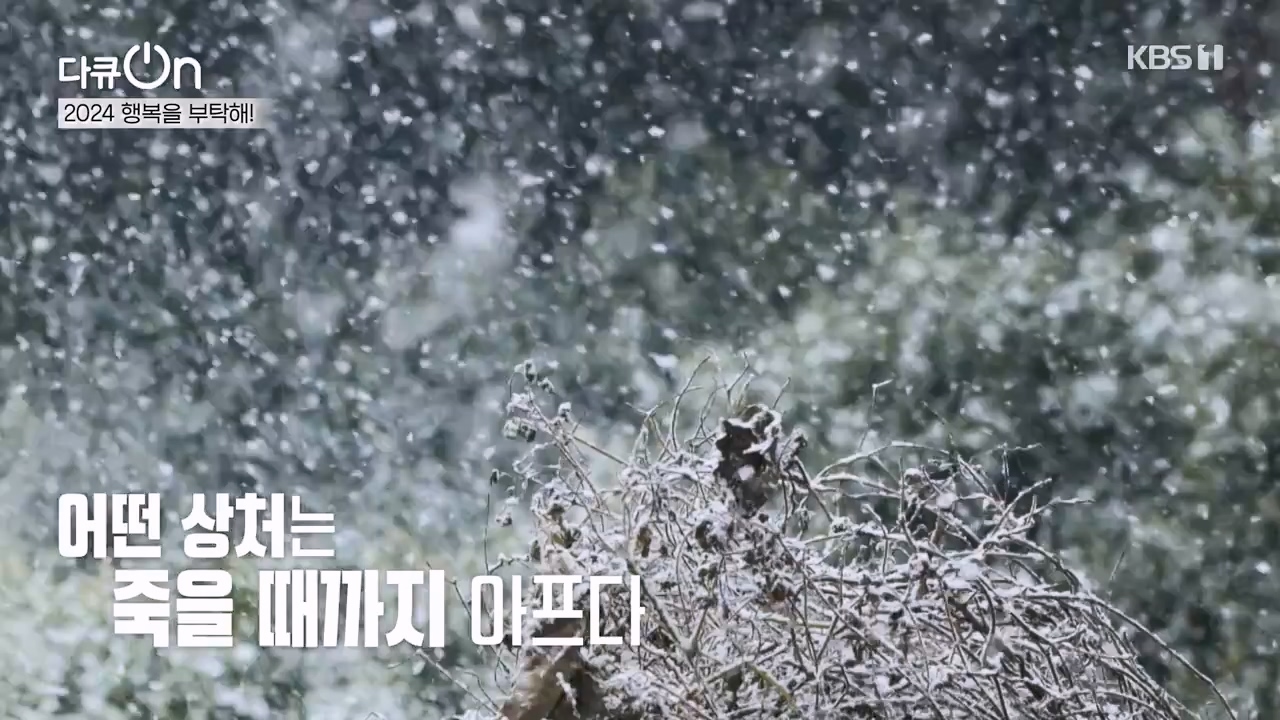 다큐 온.E236.240121p-NEXT.mp4_20240121_142833.819.jpg