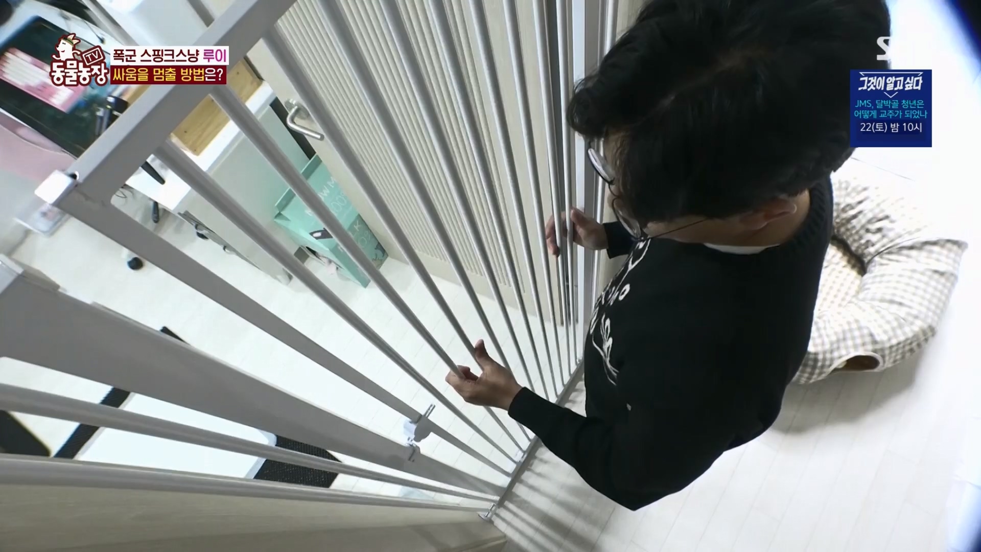 TV 동물농장.E1116.230416p.H264-F1RST.mp4_20230418_194211.100.jpg