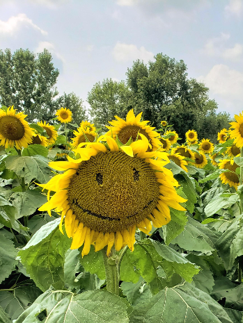 Babbette&rsquo;s Seeds of Hope