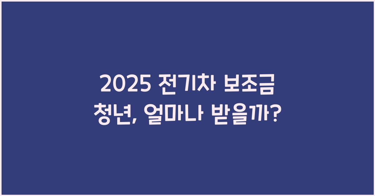 2025 전기차 보조금 청년