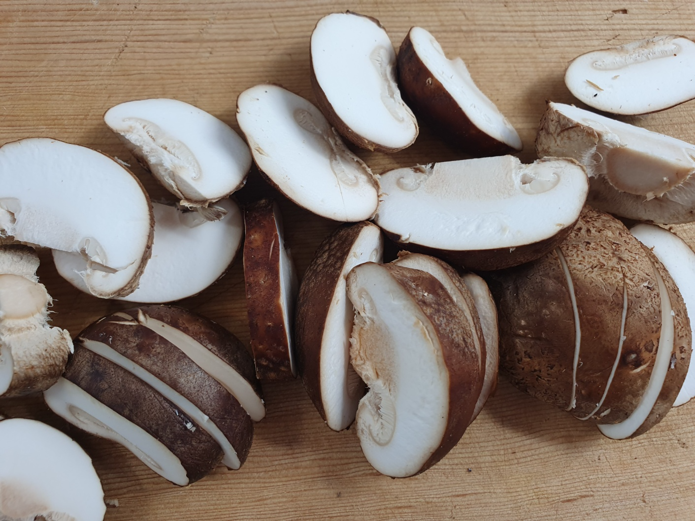 송화버섯 효능 송화버섯 보관방법 관리방법