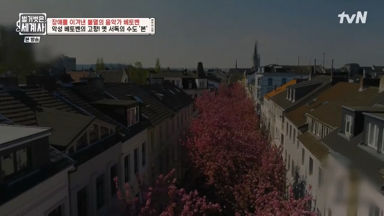 벌거벗은 세계사.E103.230614p-NEXT.mp4_20240113_210133.061.jpg