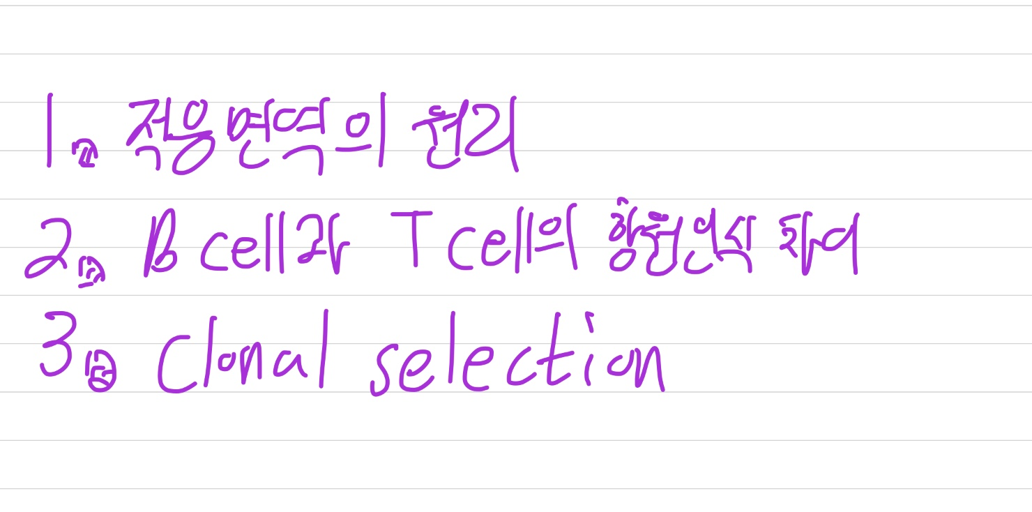  adaptive immunity(적응 면역)의 원리와 B cell, T cell의 항원 인식 방법 차이 그리고 clonal selection
