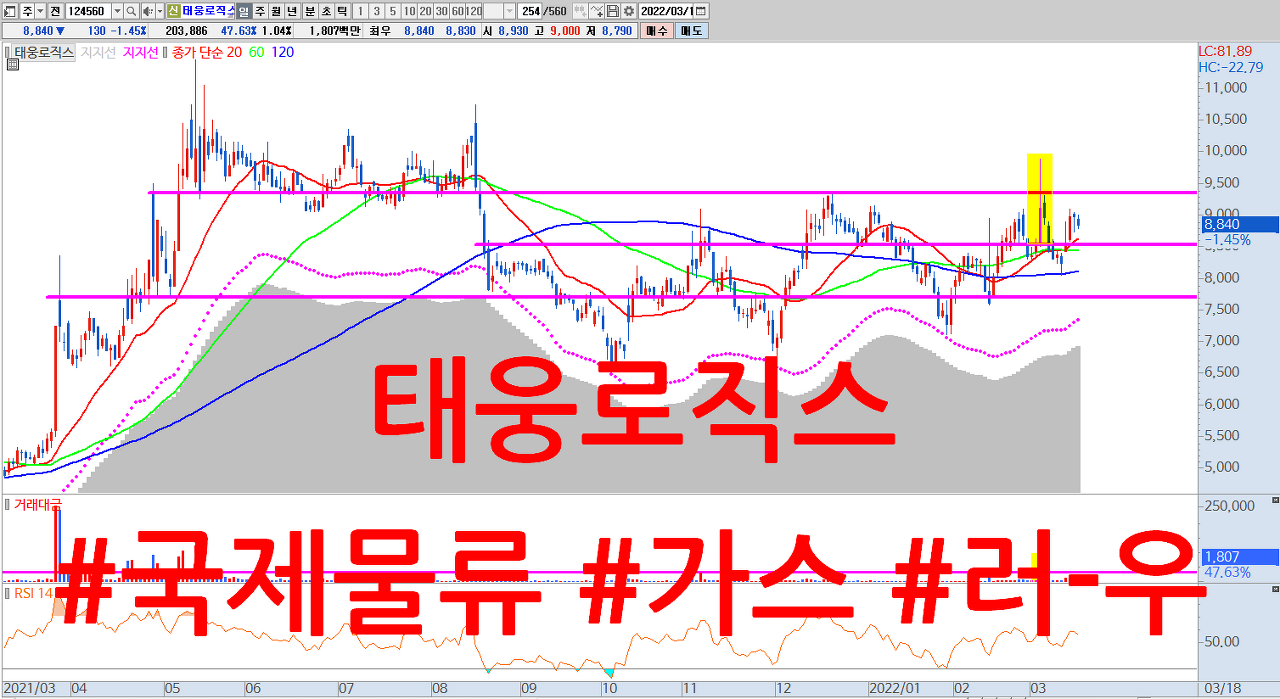  태웅로직스 주식 전망 | 러-우 사태로 반사이익 커진 국제 물류 관련주 | 이익레버리지 , LNG , 수소 가스 운임 상승