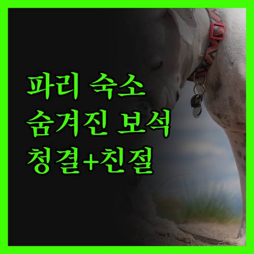 더 골든 인 뉴 파리.. 숨겨진 보석