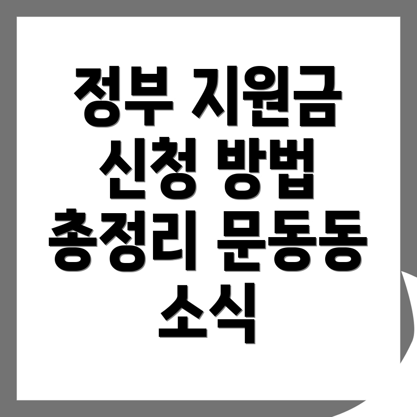 정부지원금