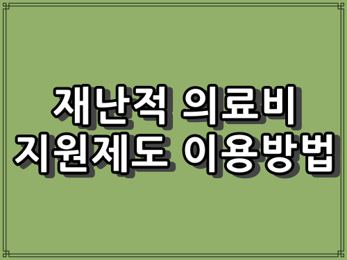 재해 의료비 지원 제도 이용 방법