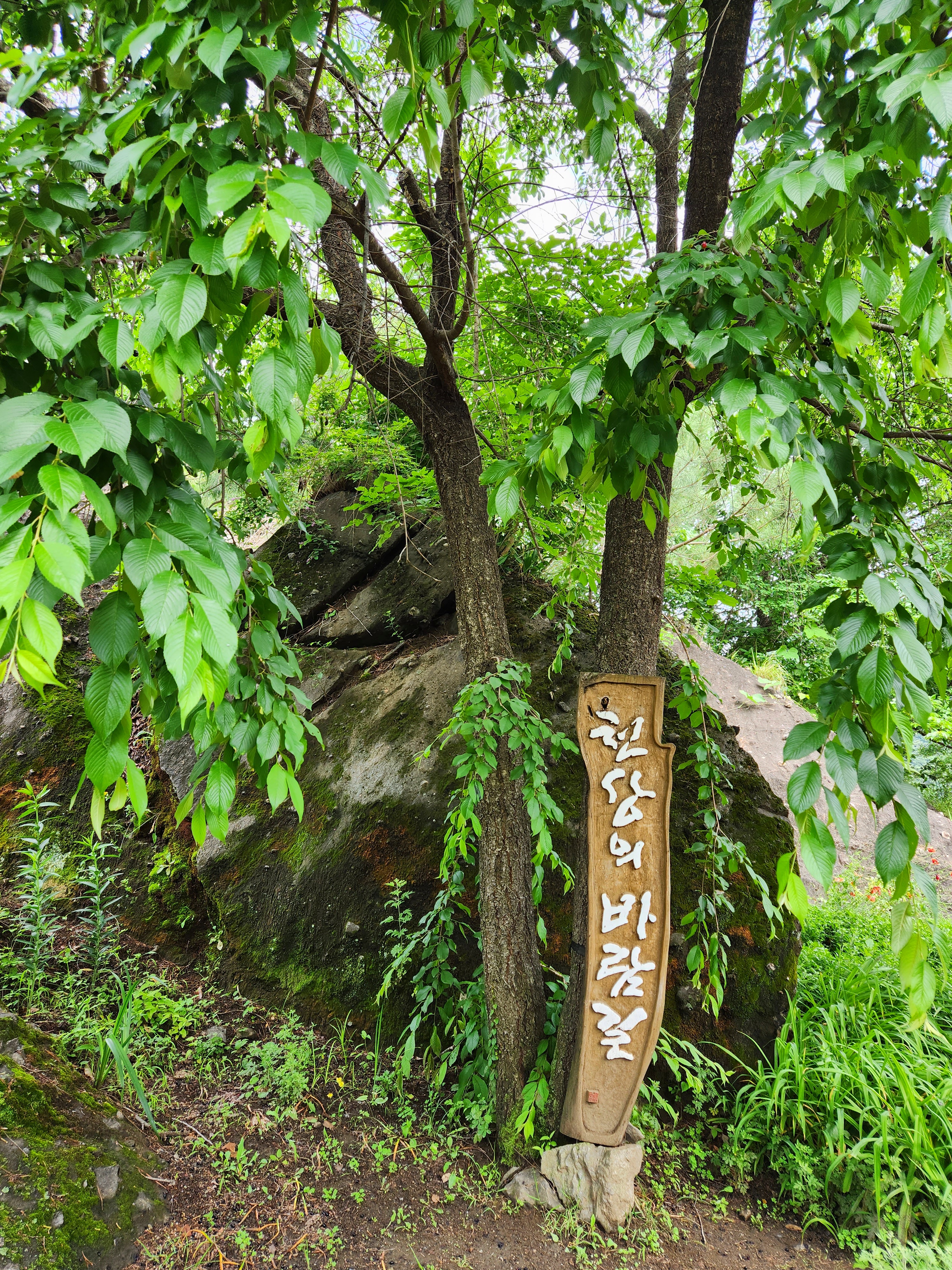 수생식물학습원 바람길