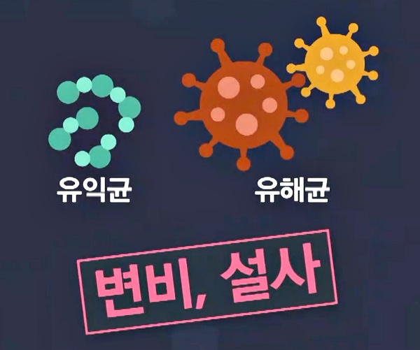 프로바이오틱스 유산균 효능, 장에 독소가 쌓이면, 장독소배출방법 장독소자가진단, 장게실염 대장암, 건강 팁줌 매일꿀정보