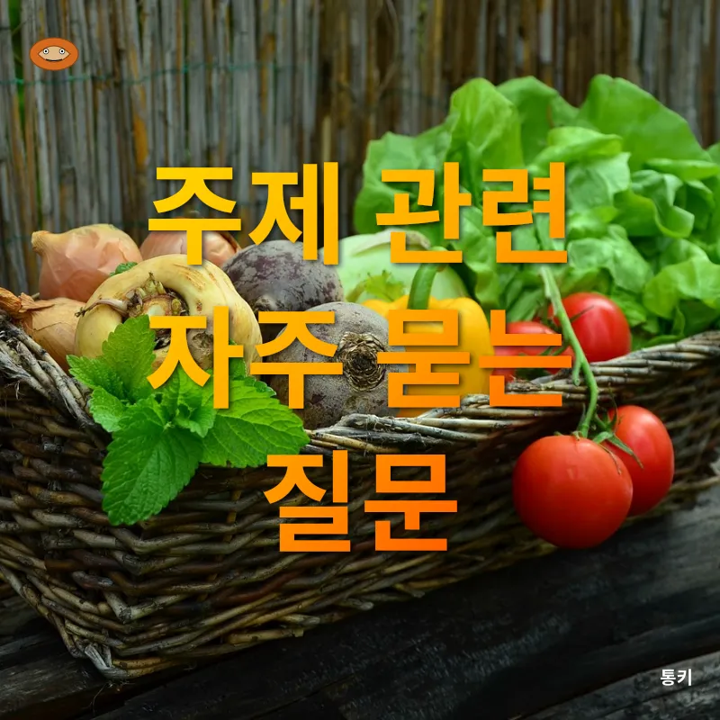 채소 신선도 유지_3