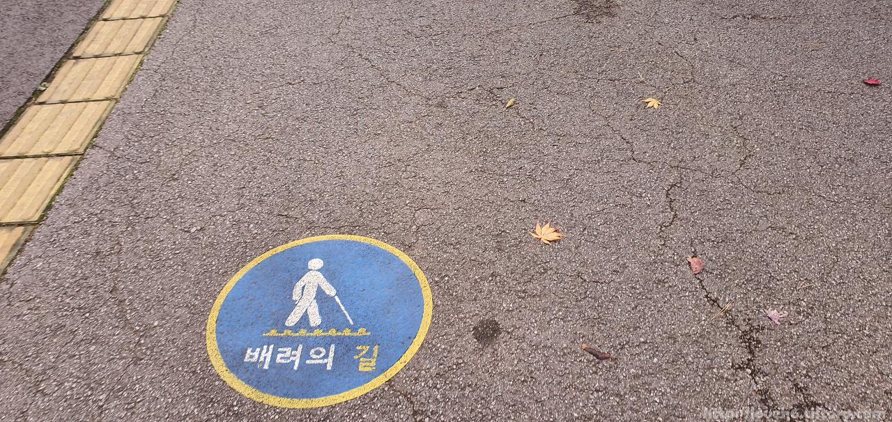 남산 Namsan/ 남산 산책로는 배려의 길입니다