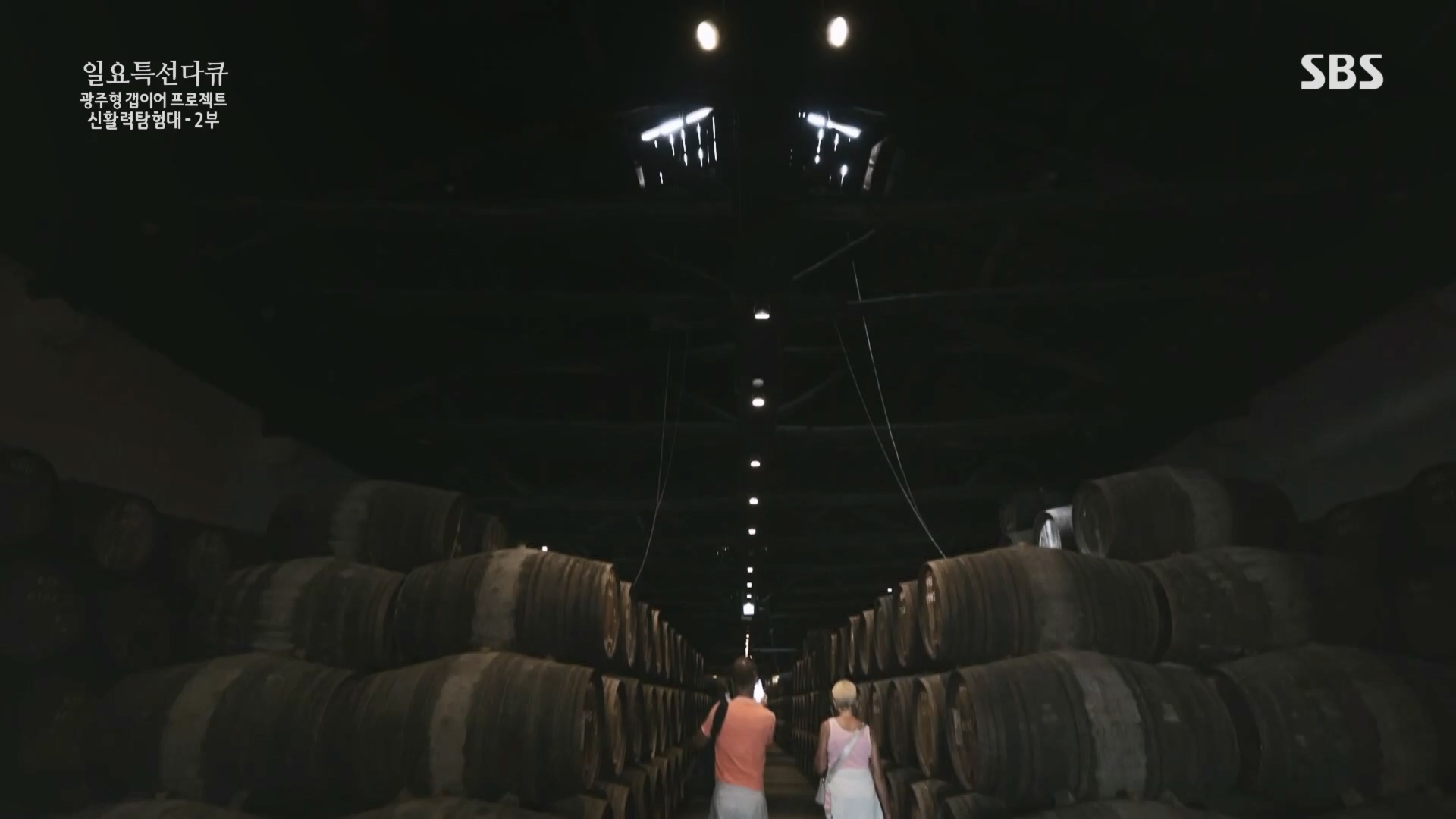 일요 특선 다큐멘터리.E326.231029p.H264-F1RST.mp4_20231029_160649.945.jpg