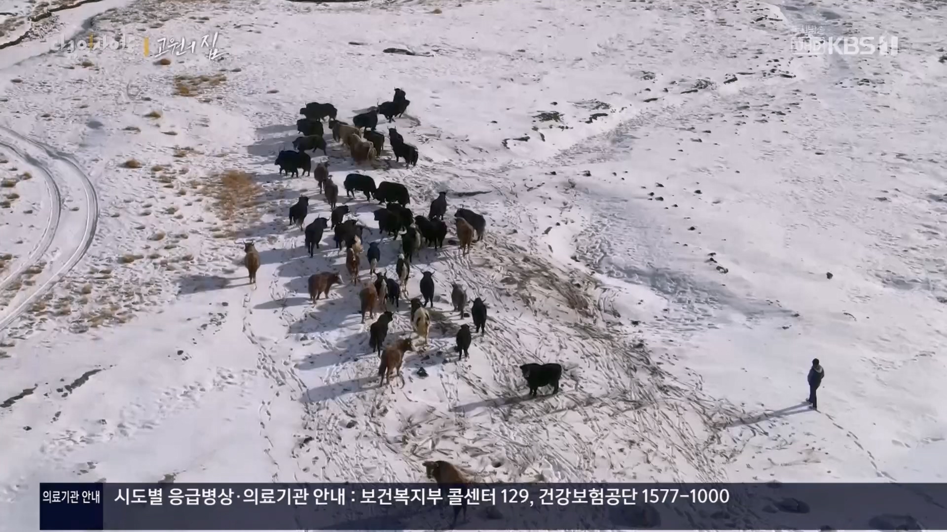 다큐 인사이트.E176.240328p.H264-F1RST.mp4_20240330_161109.010.jpg