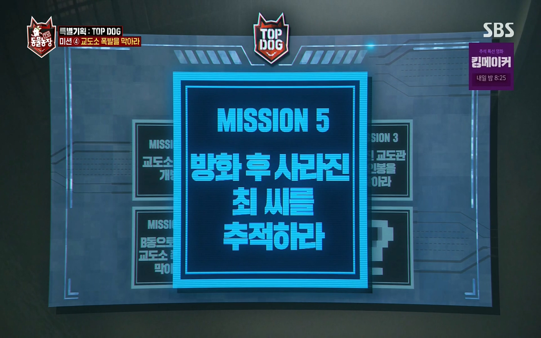 TV 동물농장.E1086.220911p.H264-F1RST.mp4_20220911_174013.933.jpg