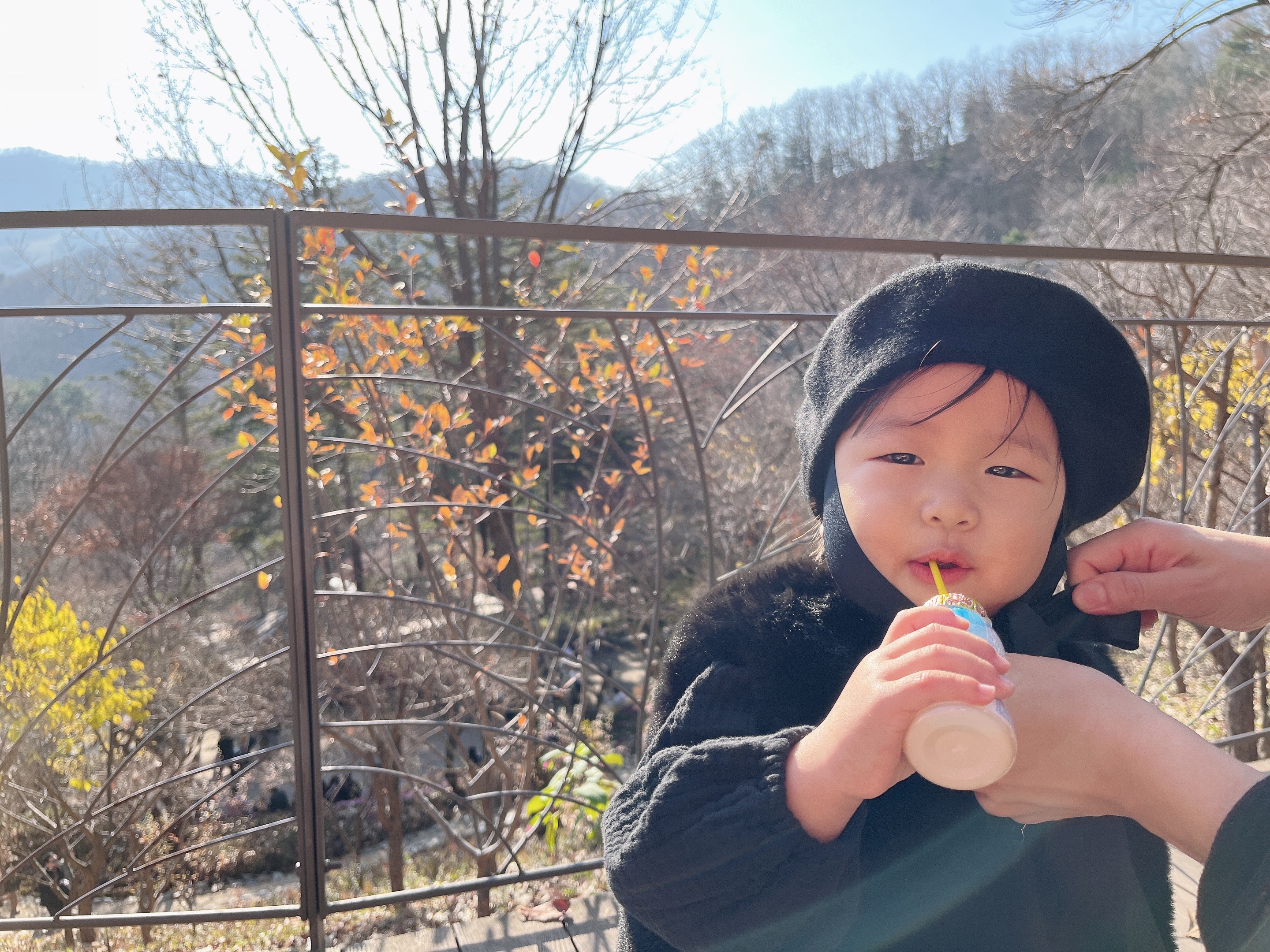 가을에 다녀 온 - 화담숲