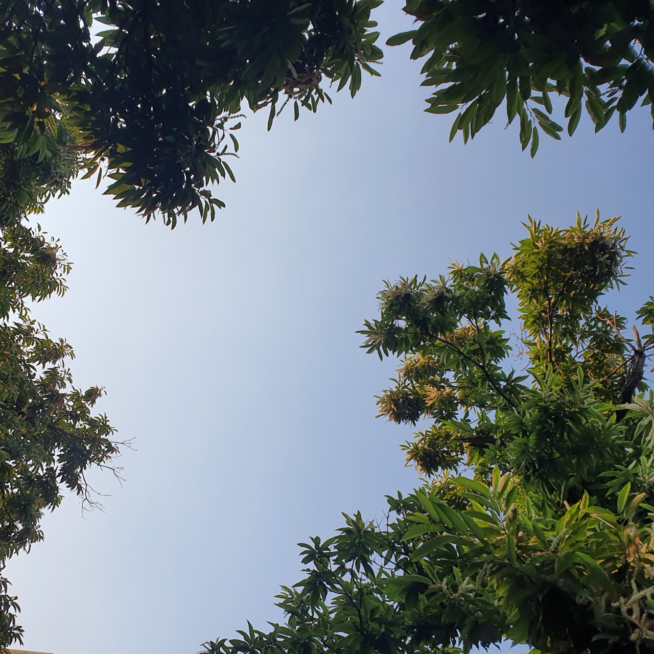  강릉 1박2일 여행 ② 테라로사 본점, 곱창집, 팔도강산횟집
