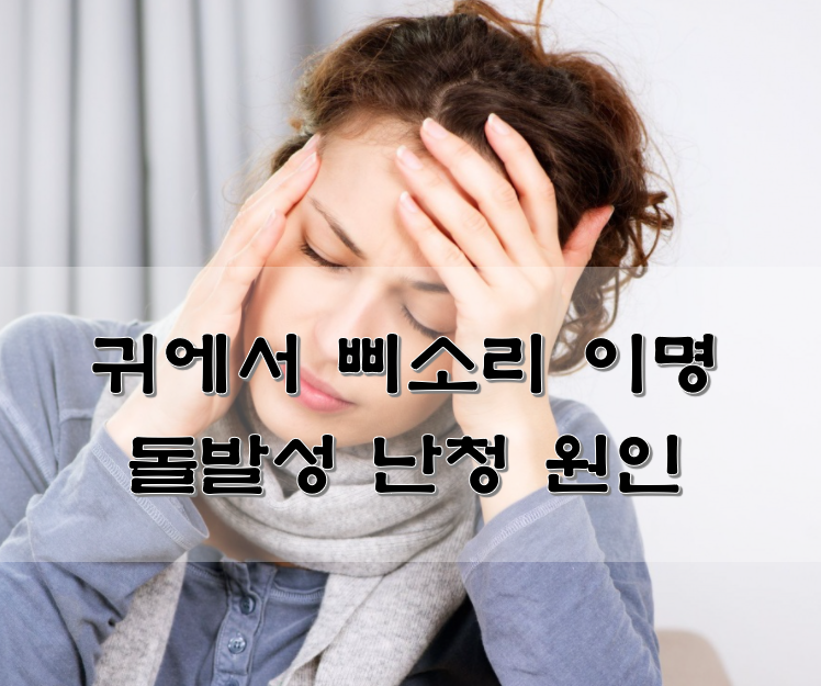  귀에서 삐소리 이명 돌발성 난청 원인