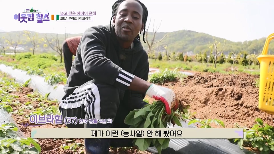 이웃집 찰스.E393.230627p.H264-F1RST.mp4_20230628_204340.988.jpg