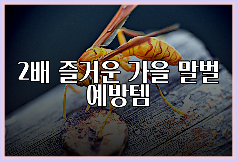 2배 즐거운 가을 말벌 예방템