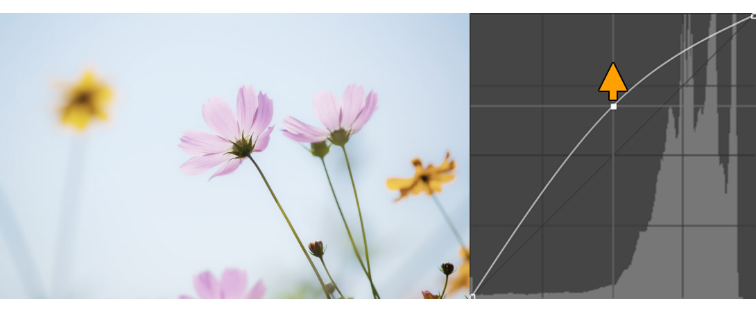 밝기를 증가시킨 모습