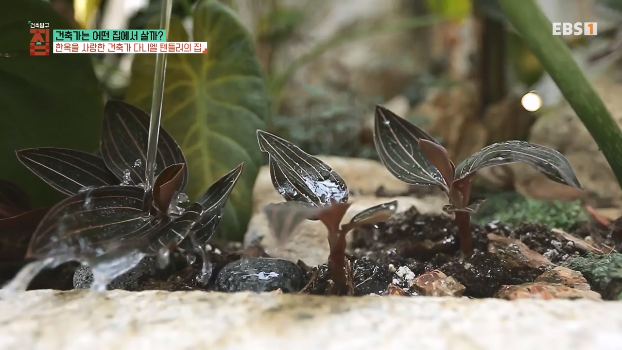 TV - 전 국민의 평생학교 EBS건축가는 어떤 집에서 살까.mp4_20231109_210204.407.jpg