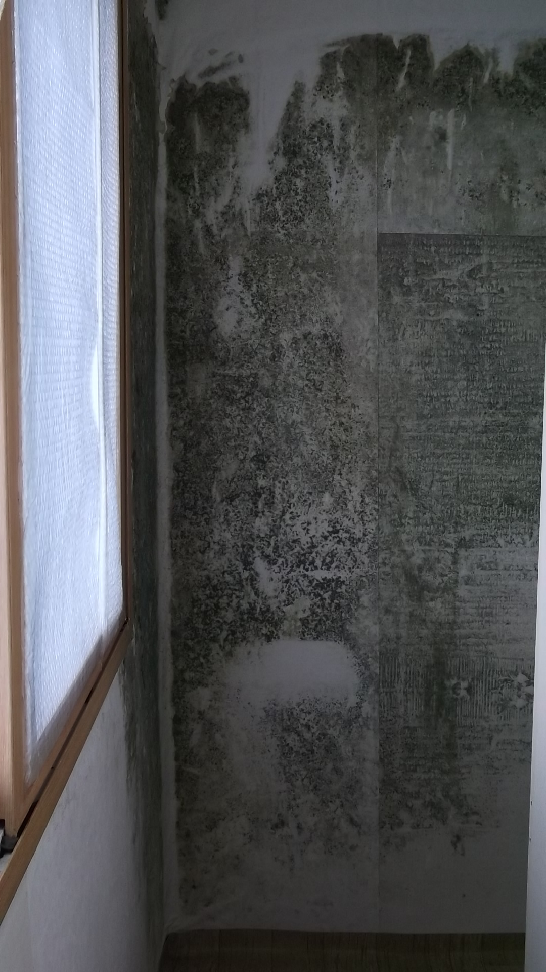  검은 벽지 곰팡이제거 후 환해진 방~