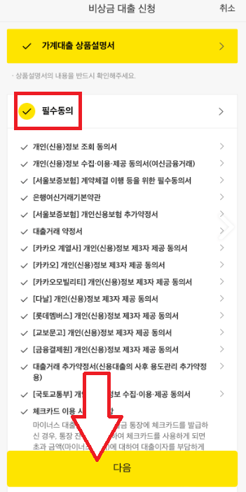 카카오뱅크 비상금대출 