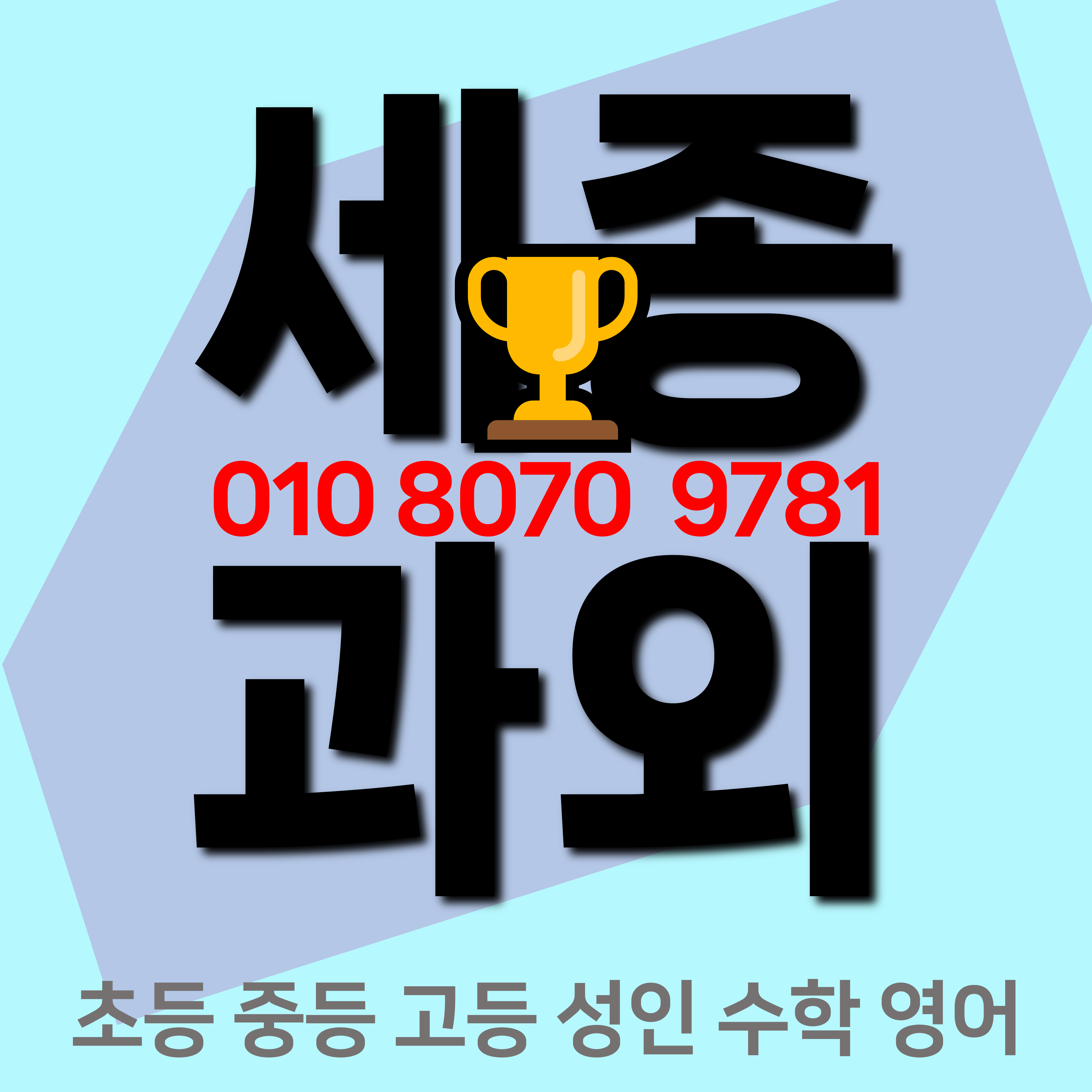  세종 부강면 초등 수학과외 부강초등학교 영어과외 초등학생 흥미위주 스스로해결