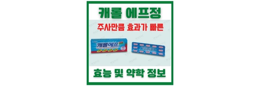  캐롤에프정 주사처럼 효과 빠른 속효성 진통제