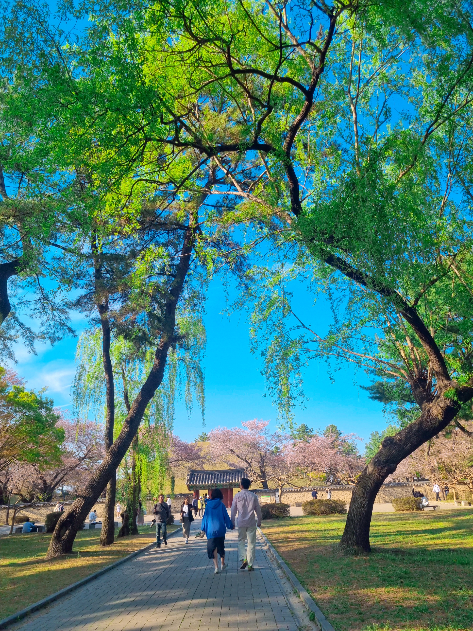 경주 대릉원