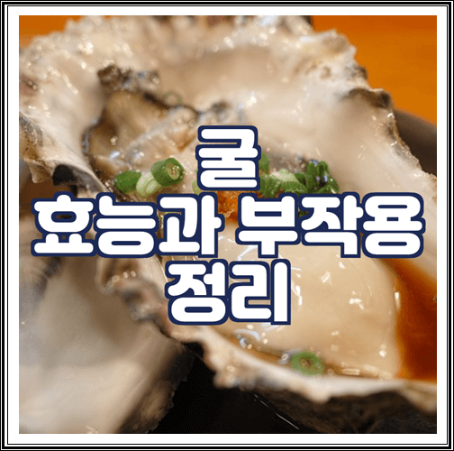  굴 효능과 부작용, 보관방법 정리