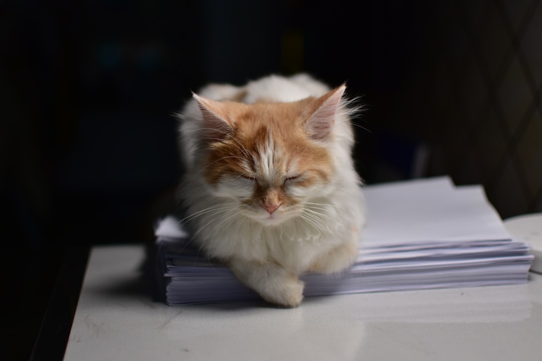 Tax accountant.