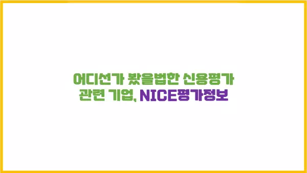 신용평가 관련 기업, NICE평가정보