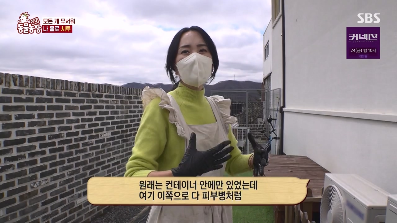 TV 동물농장.E1172.240520p-NEXT.mp4_20240519_165238.828.jpg