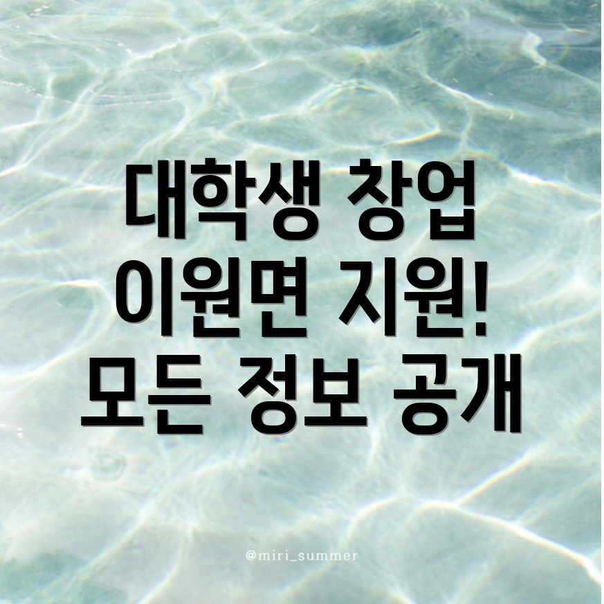 대학생 창업 지원