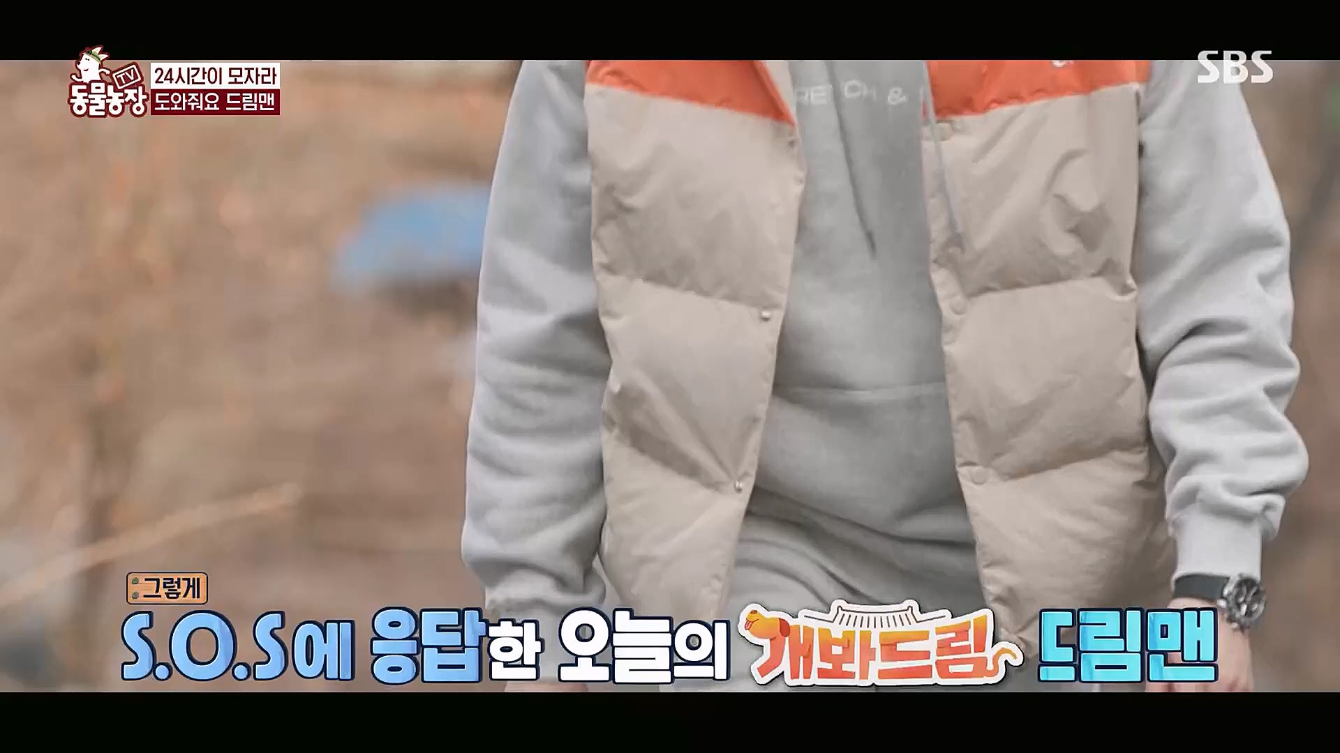 TV 동물농장.E1111.230312p.H264-F1RST.mp4_20230312_175952.851.jpg