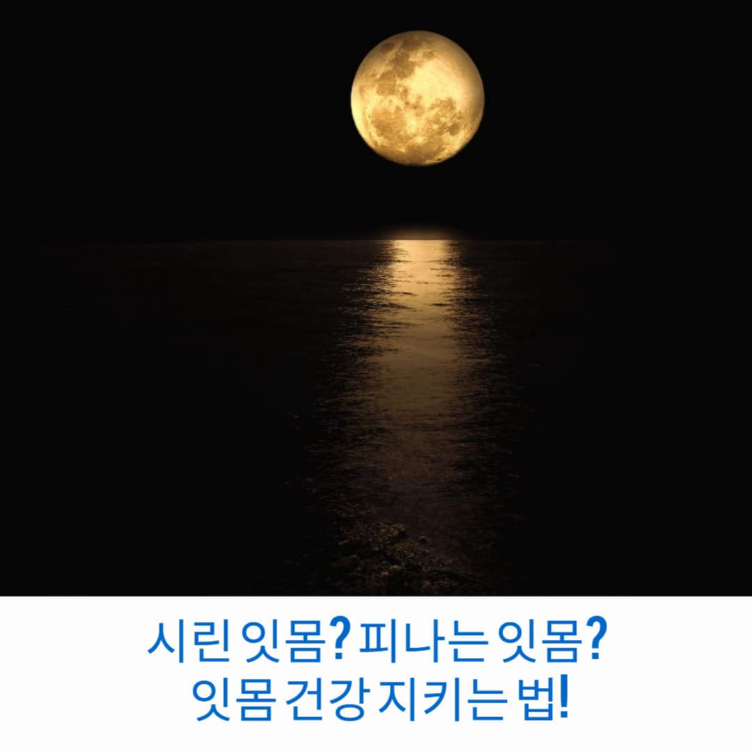 시린-잇몸-피나는-잇몸-잇몸-건강-지키는-법-썸네일